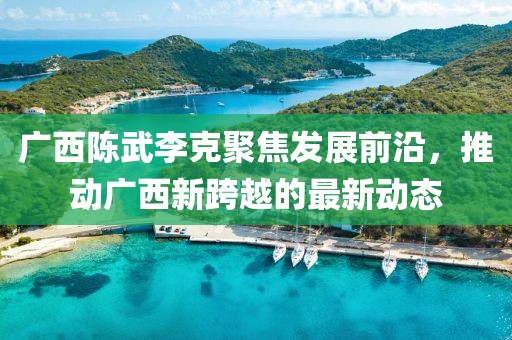 广西陈武李克聚焦发展前沿，推动广西新跨越的最新动态