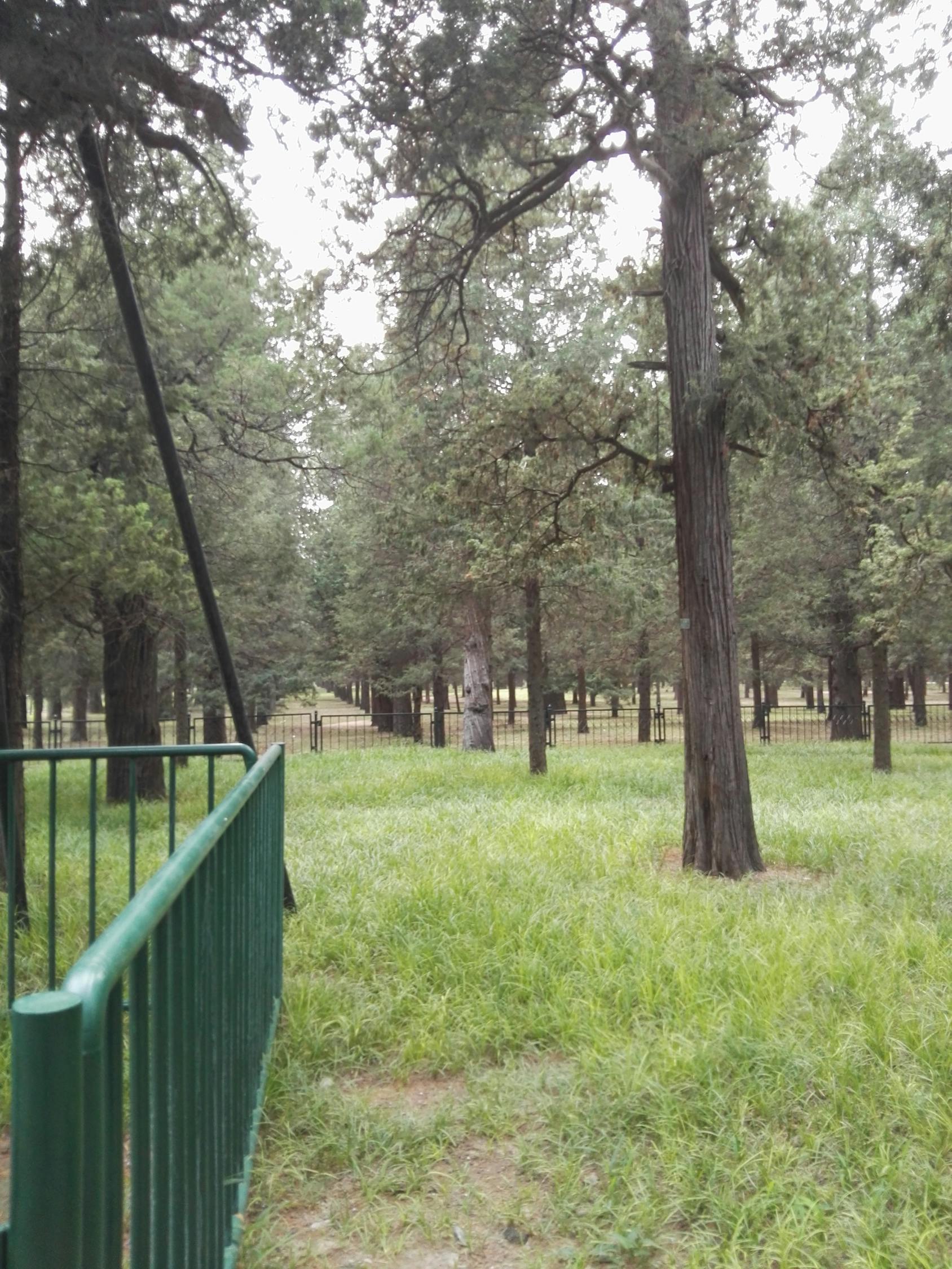 期货行情深度解析，市场动态中的机遇与挑战并存