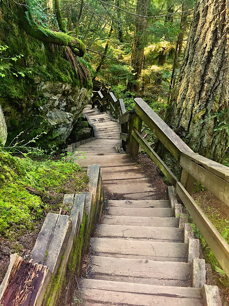 普陀山一日游价格详解与攻略