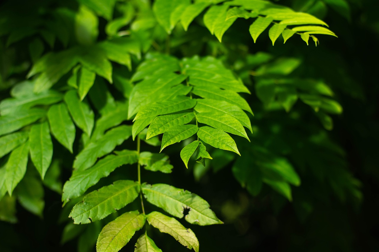 晴屿花绵绵 第22页