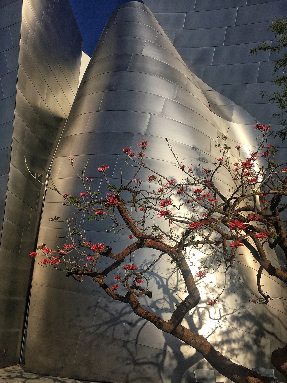 黑河最新公告发布，城市发展的最新动态与未来展望