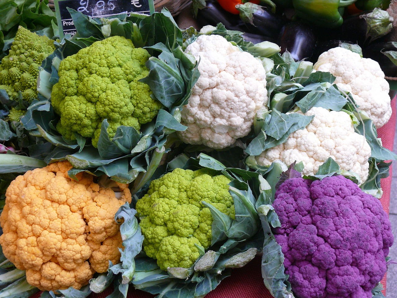 菜花批发价格最新行情及分析概览