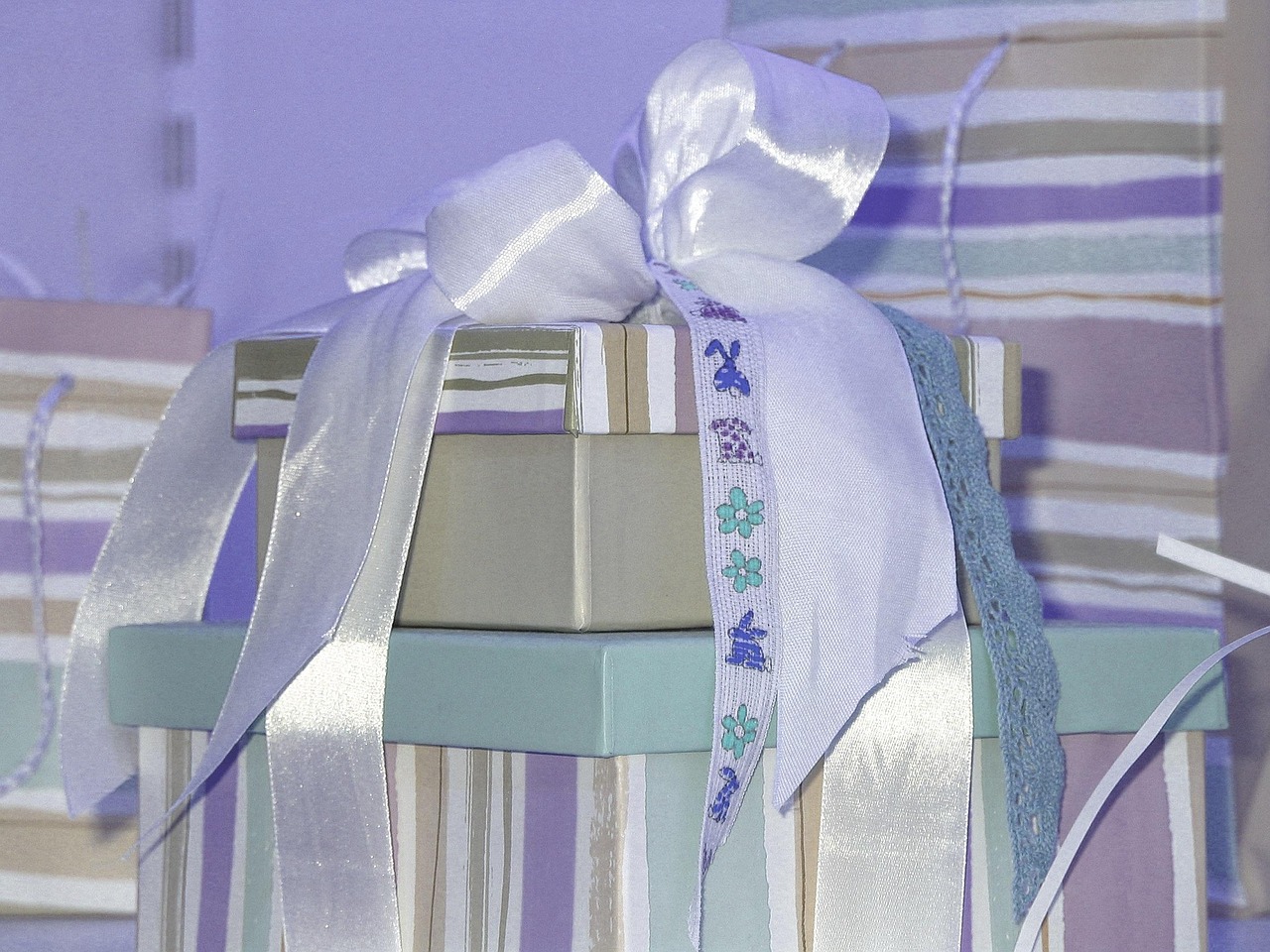 纸店镇张怀君的最新动态概况