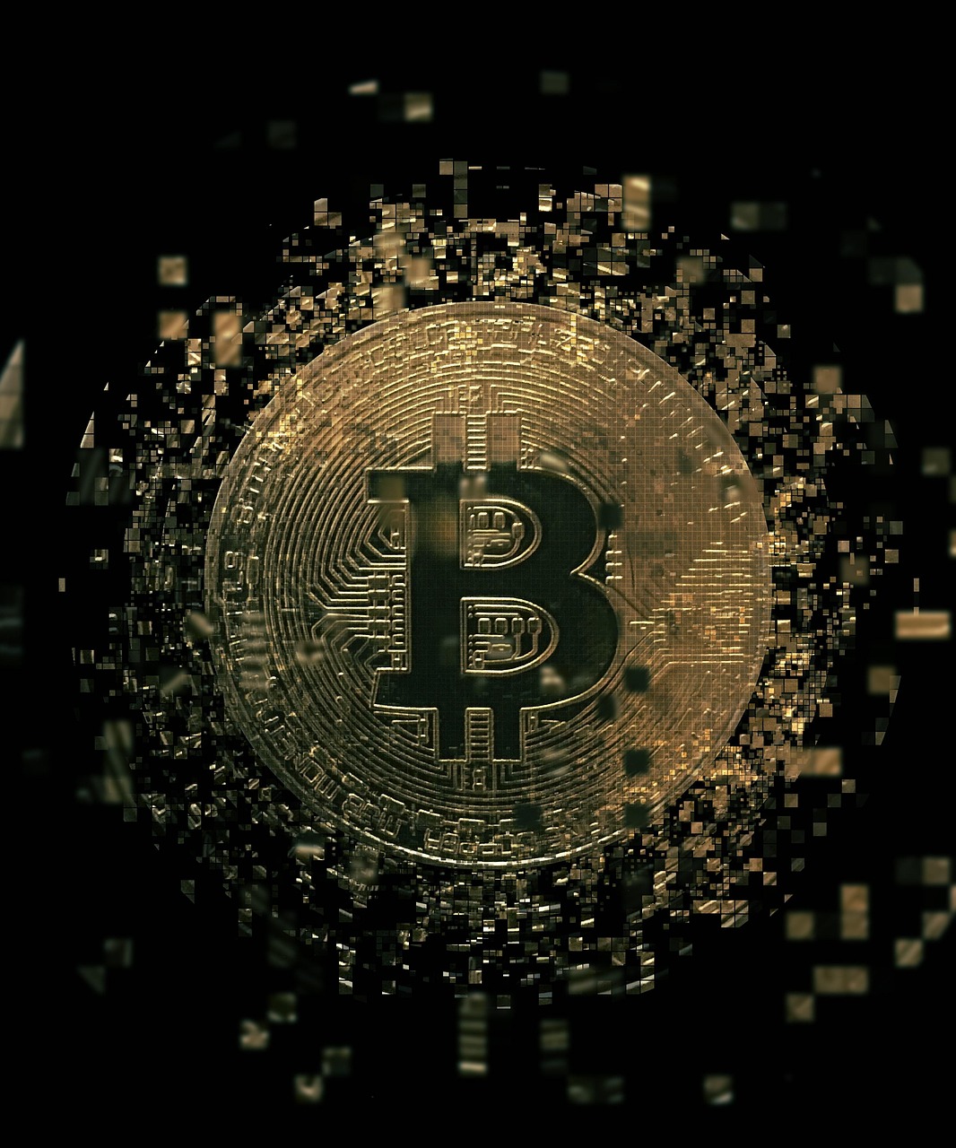 一尘网货币最新价格及数字货币市场新动态探索