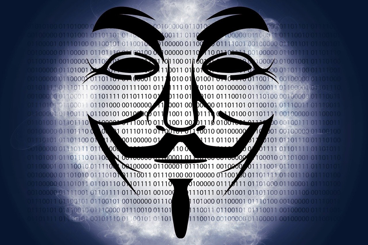 程逢九最新动态，迈向未来的步伐与洞察揭秘
