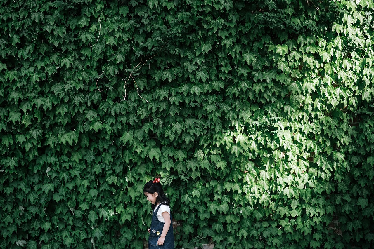 沐年之夏 第10页