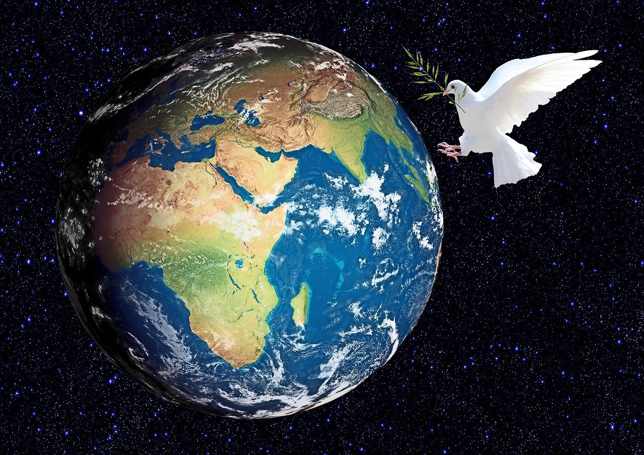 阅读之星比赛，激发潜能，培育未来之星。