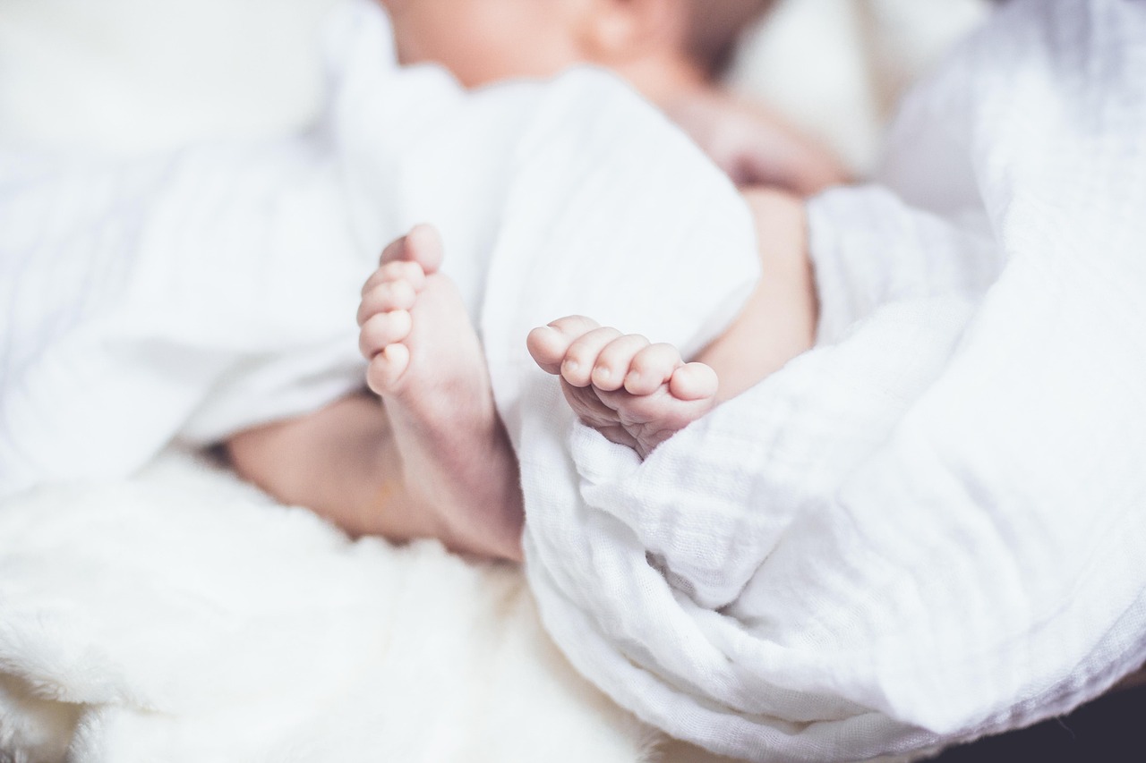 探索幼儿成长的无限可能，最新幼儿教育随笔荟萃