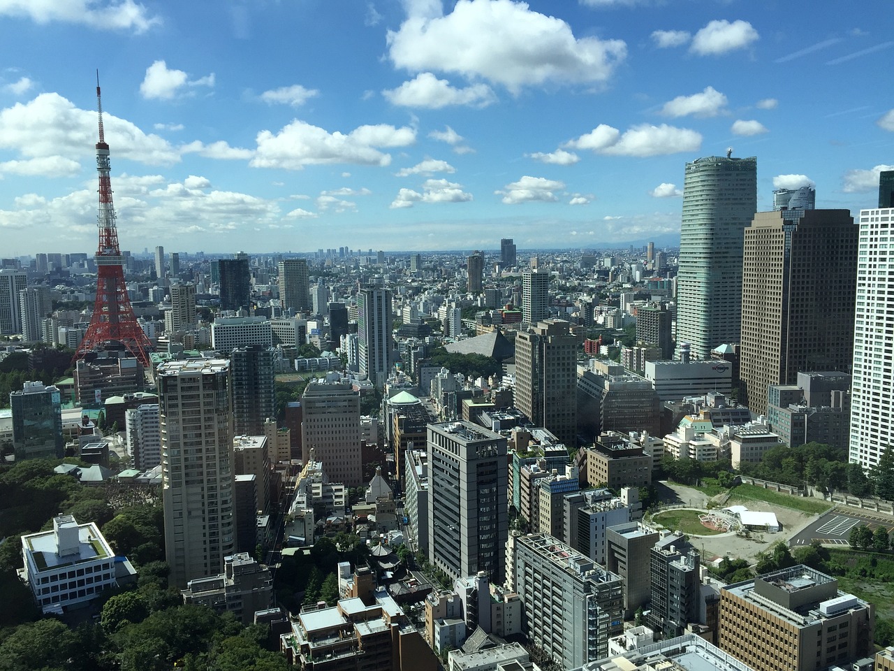 最新桔梗行情分析与市场趋势展望