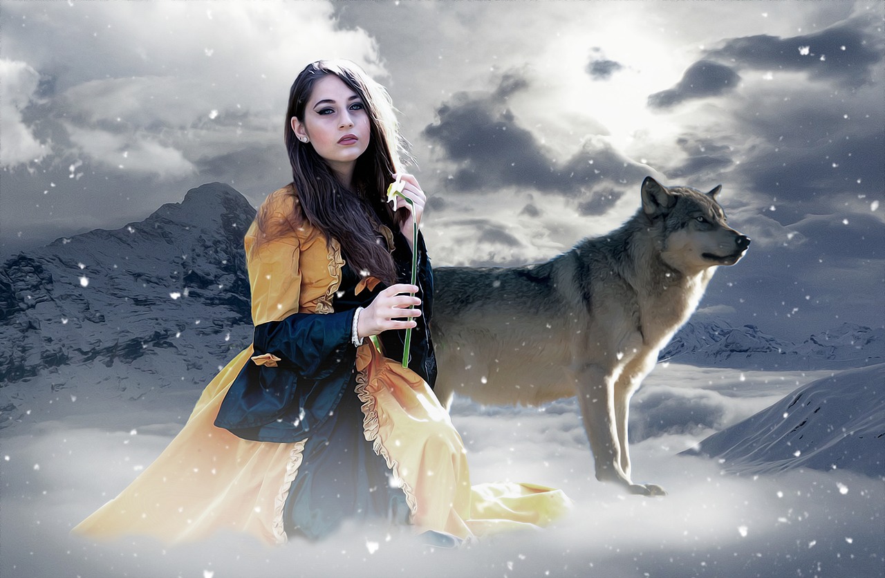 秦夫人最新章节探秘，揭开神秘面纱