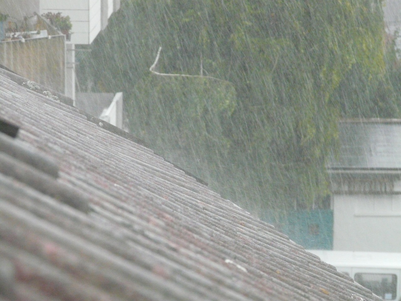 辽宁暴雨最新通知及应对挑战保障安全动态