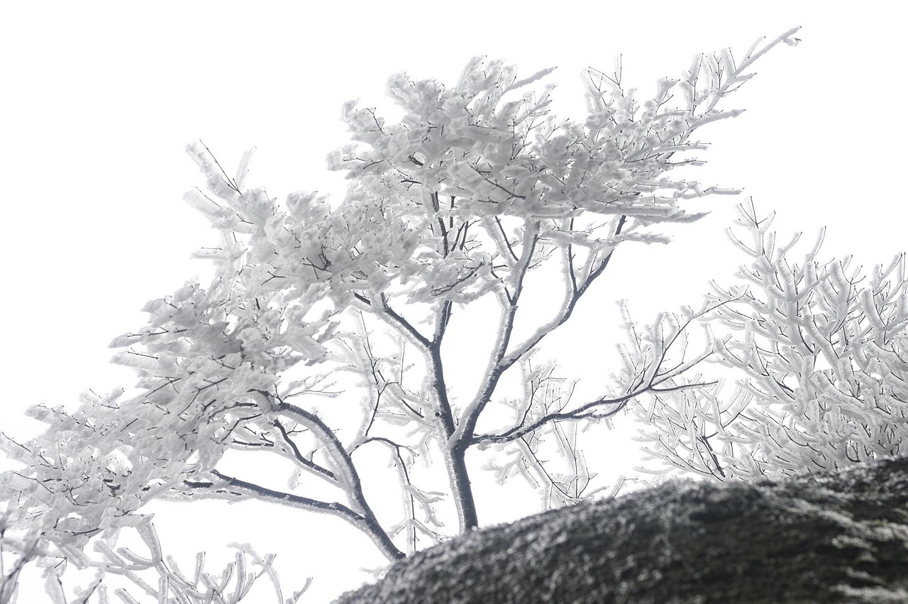江南烟雨新篇，诗意画卷中的时代变迁与文化繁荣探索