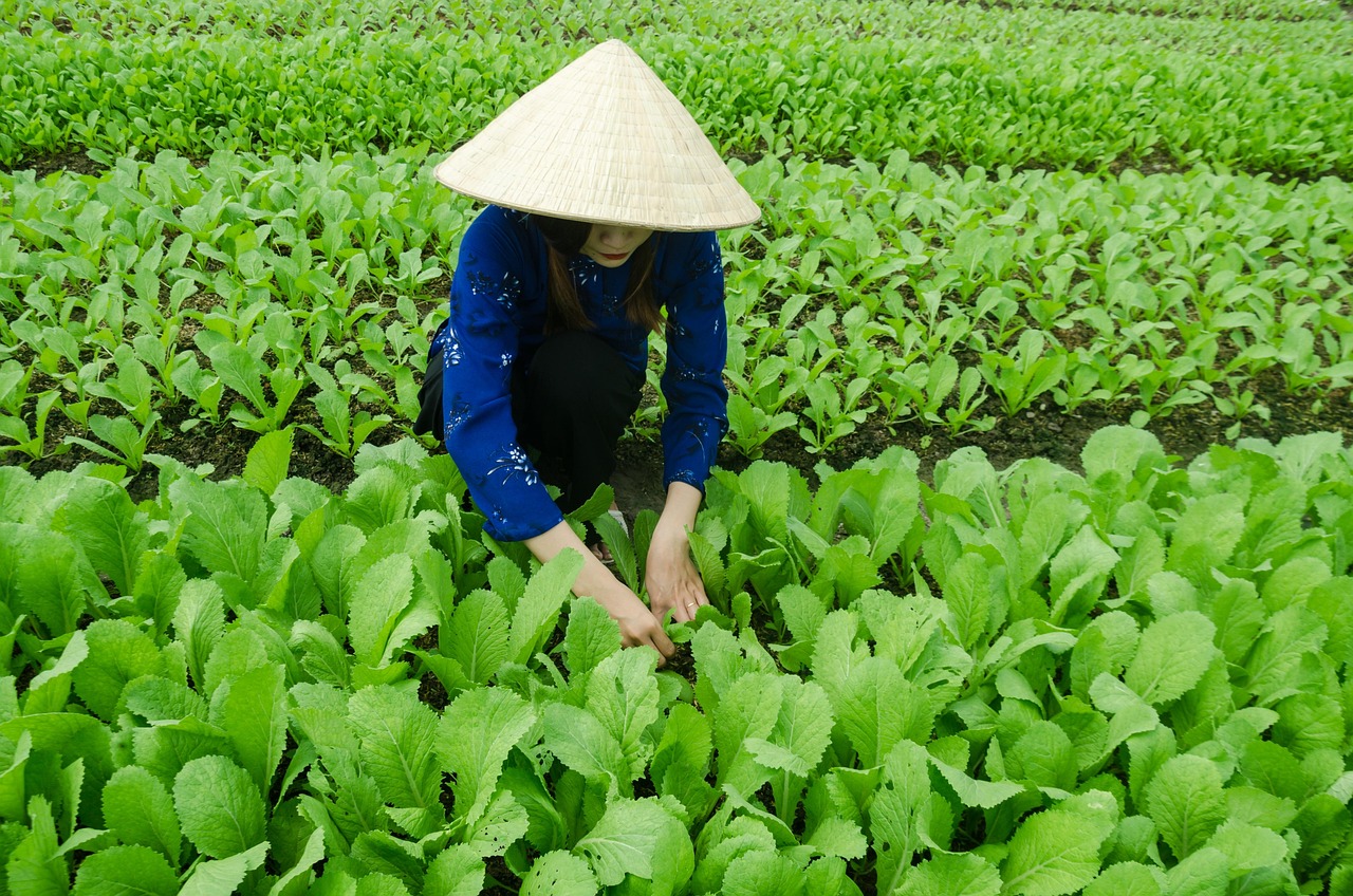 江苏沭阳贤官最新发展动态与变化脉搏