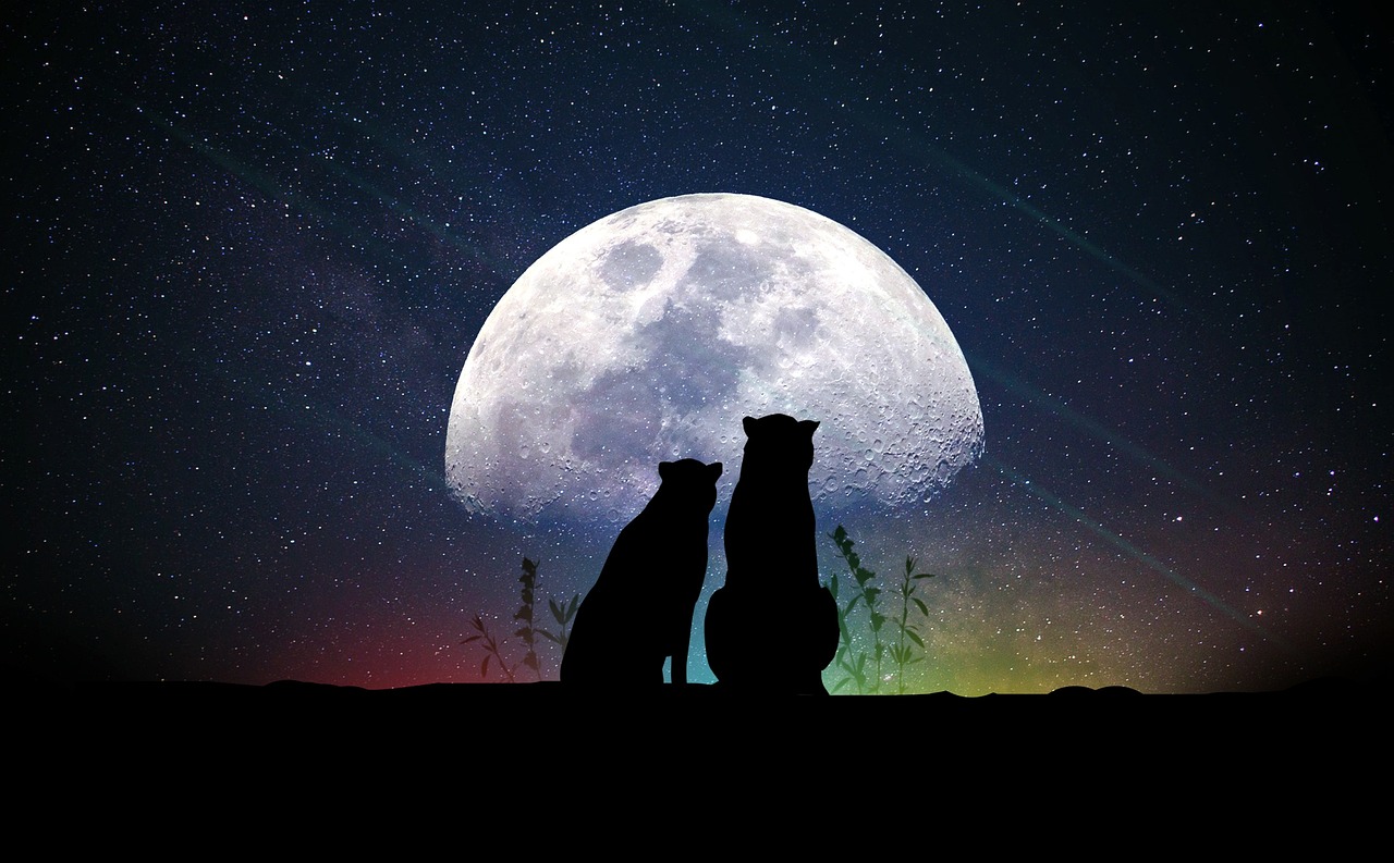 观明星，璀璨背后的故事探索