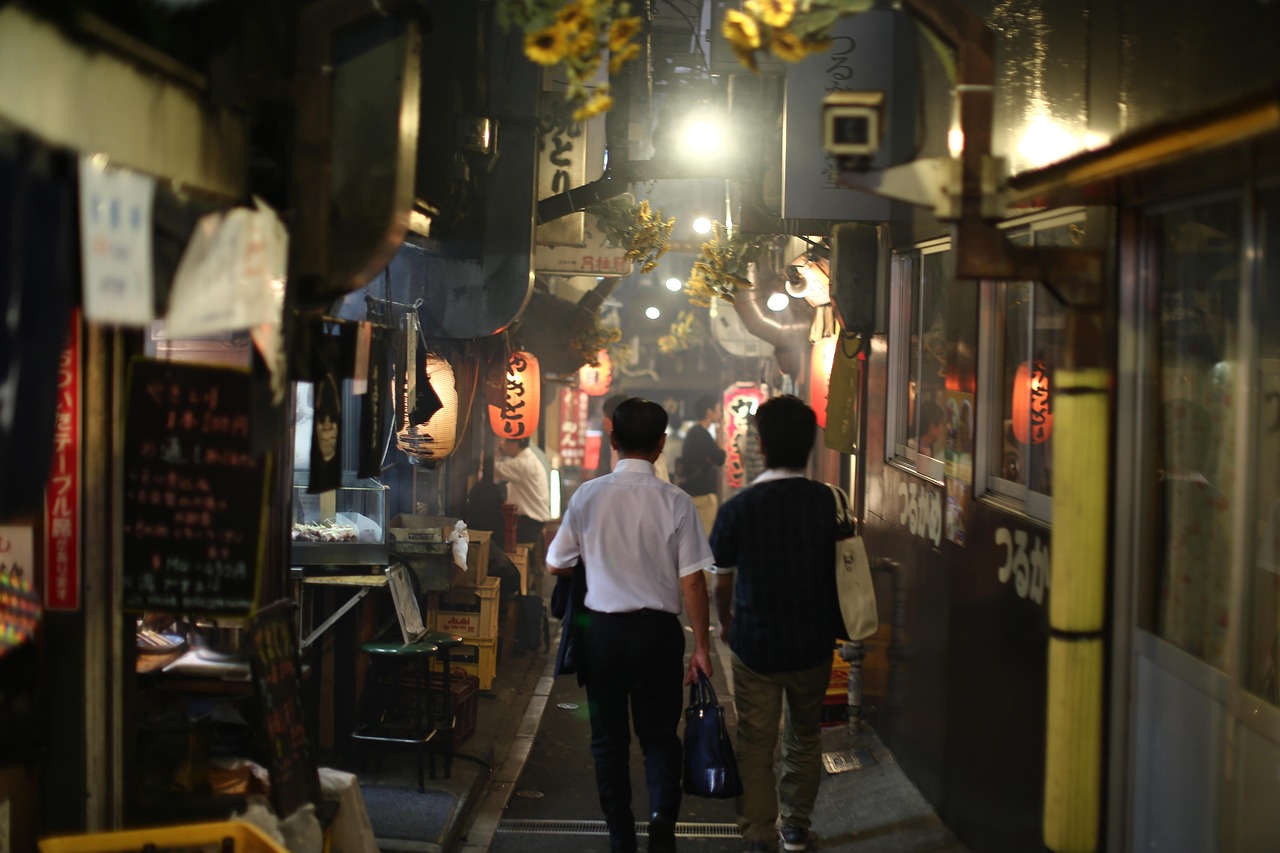 日本成人电影的魅力与影响探索